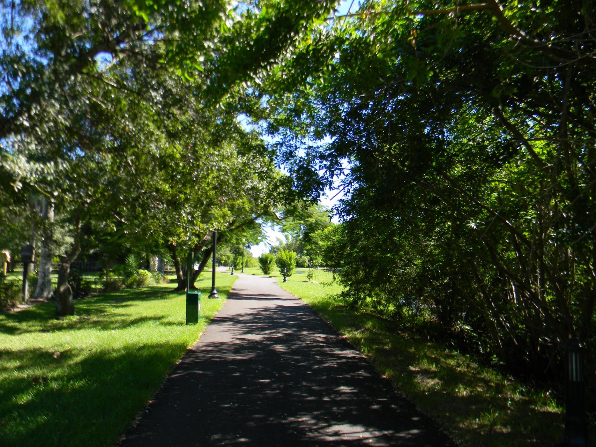 picture of the linear park path shaded by trees 