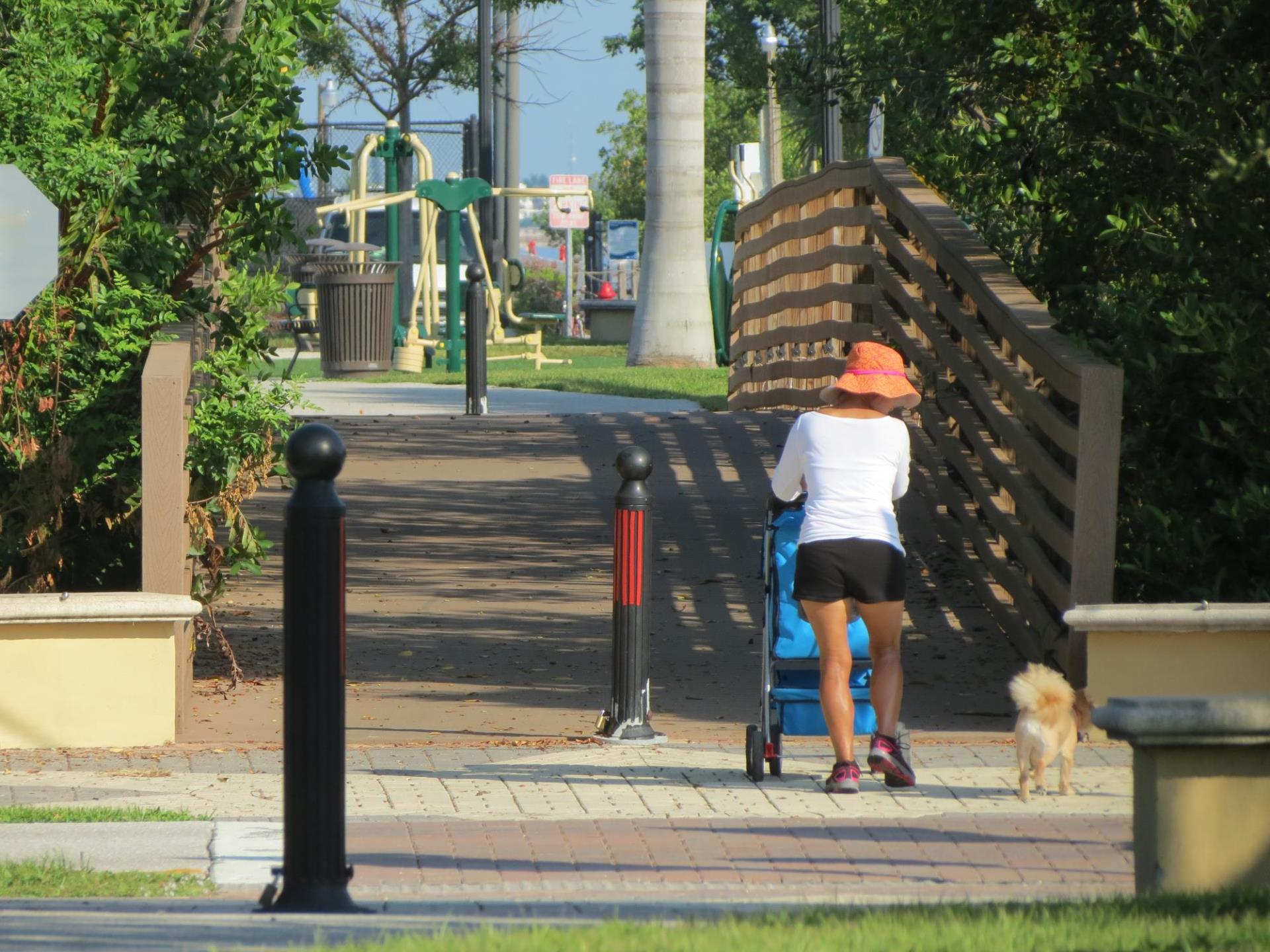 person with a dog pushing a stroller over a bridge leading to the park