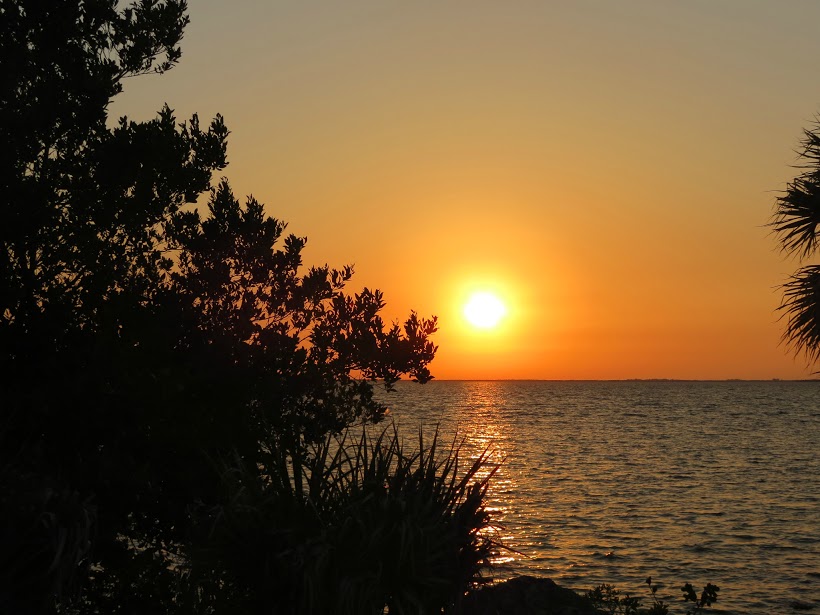 Ponce de Leon Park Sunset