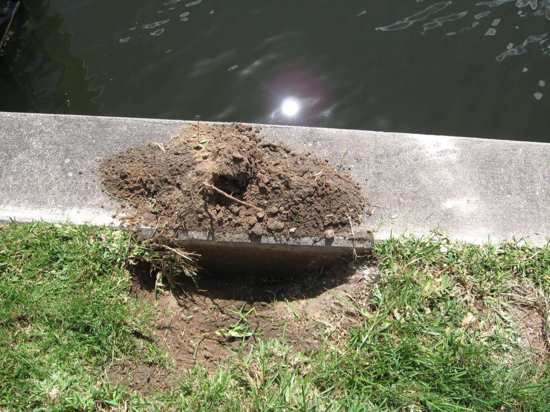 Image of Sea wall depression, grassy area sinking near sea wall.