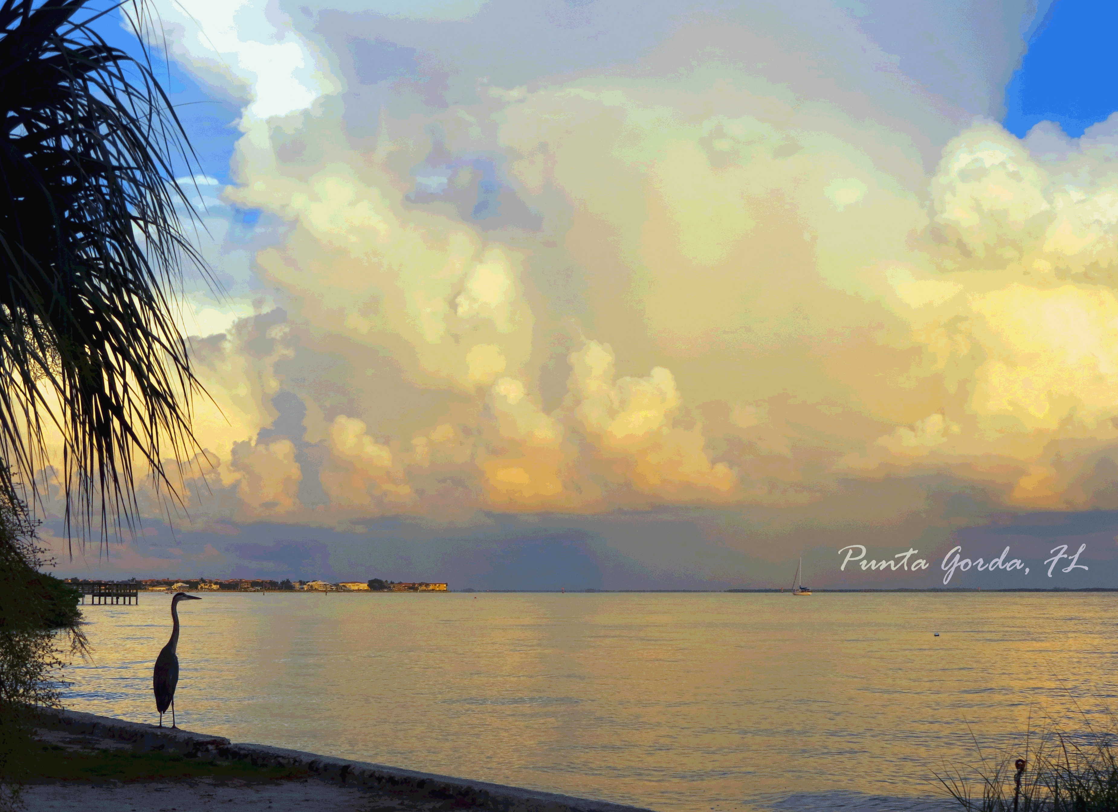 palm tree and bird alongside gilchrist beach harbor with docks and houses in the background