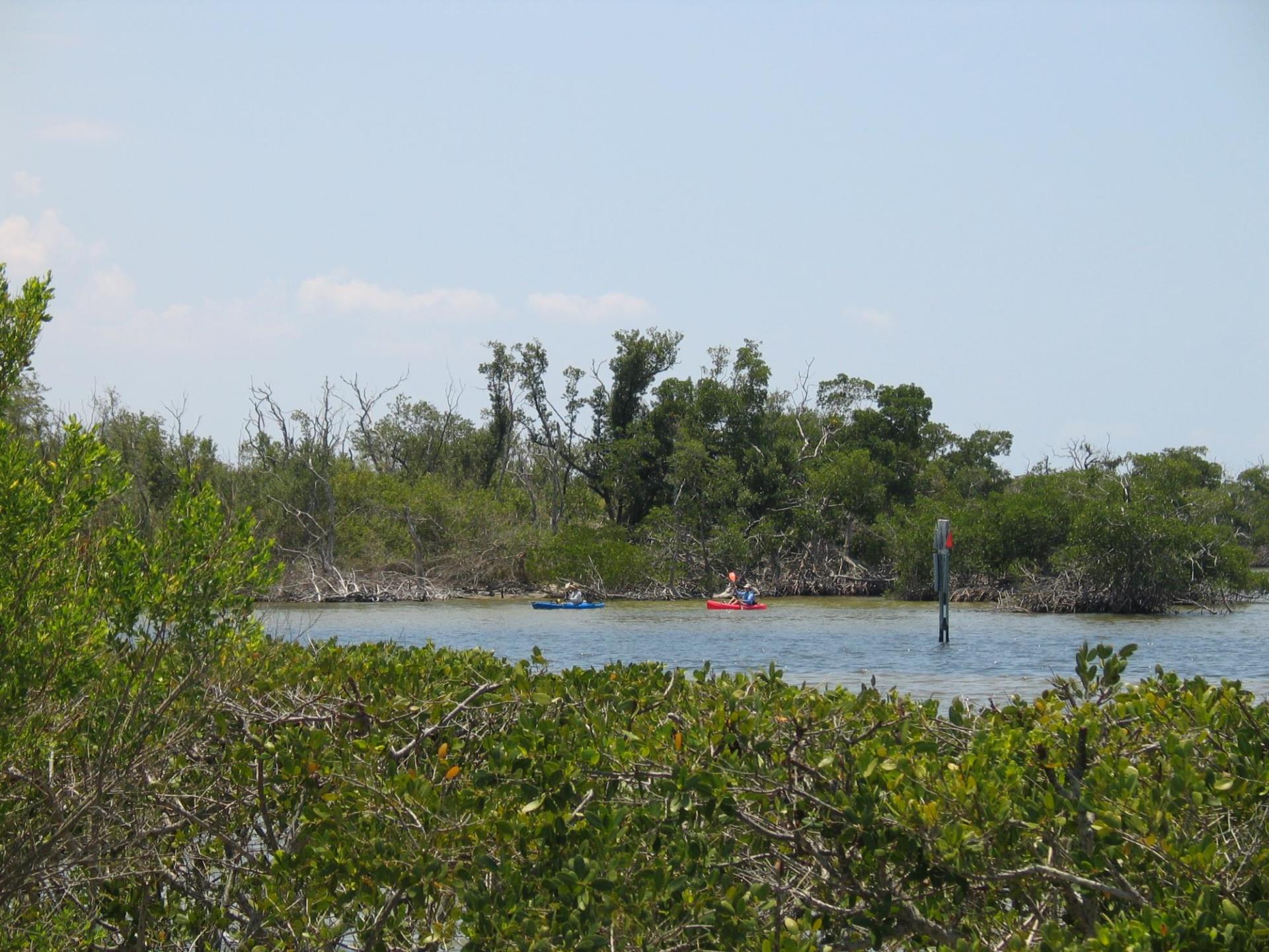 Kayakers in the water at Ponce Park