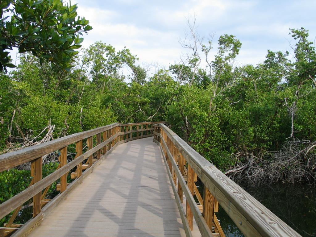 Ponce Park boardwalk