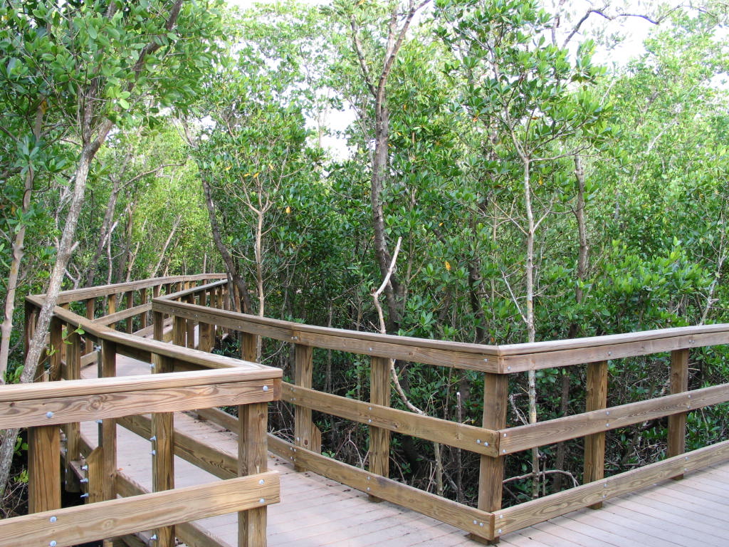 Ponce Park boardwalk