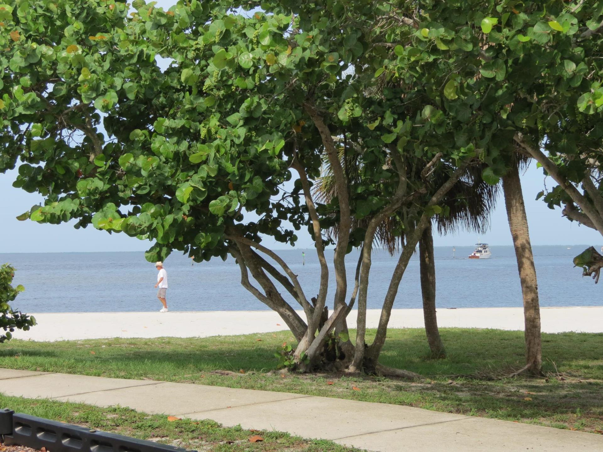 Looking towards the beach at Ponce