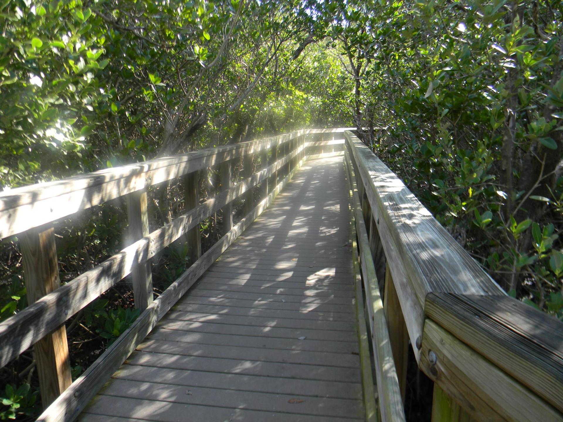 Ponce Park boardwalk