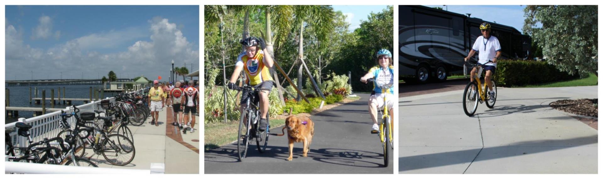 collage of bikers along harbor, biker with dog, and regular biker on path