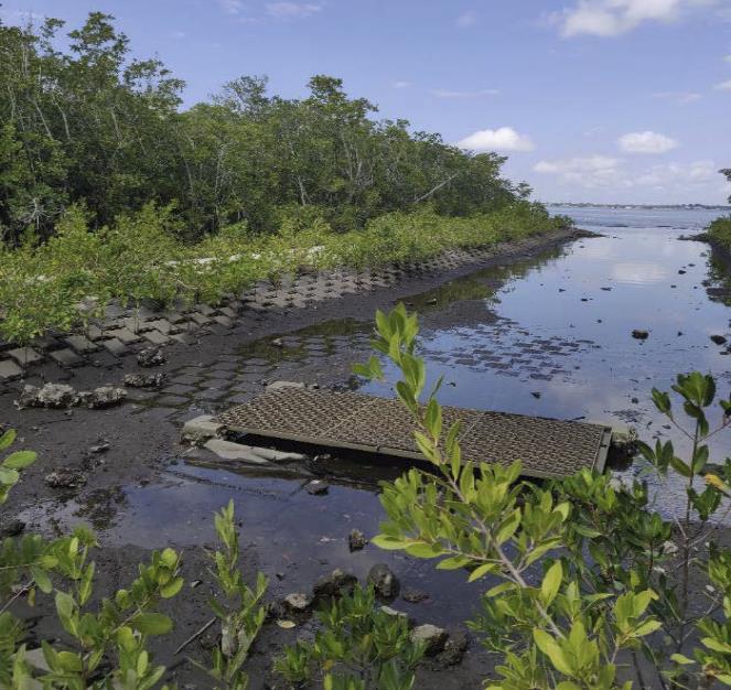 Drainage Culvert along Punta Gorda Harborwalk